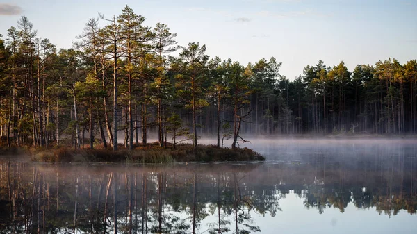 Природне Водоймище Ставок Відображенням Дерев Хмар Поверхні Спокійної Води — стокове фото
