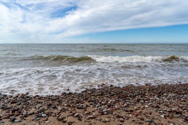 boş deniz plaj kum tepeleri ve kuru ağaç gövdeleri kıyıya yaz aylarında yıkadım. sakin su