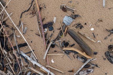 Eski kuru ağaç gövdesi stomp doku doğa kabuğu ile