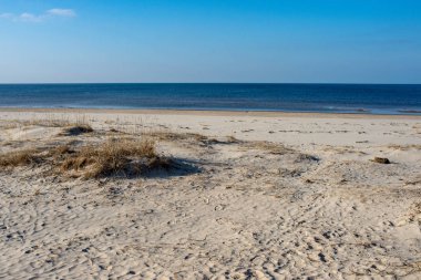 boş deniz plaj kum tepeleri ve kuru ağaç gövdeleri kıyıya yaz aylarında yıkadım. sakin su