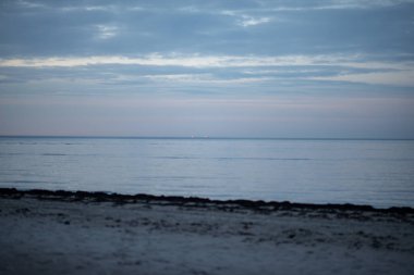 boş deniz plaj kum tepeleri ve kuru ağaç gövdeleri kıyıya yaz aylarında yıkadım. sakin su