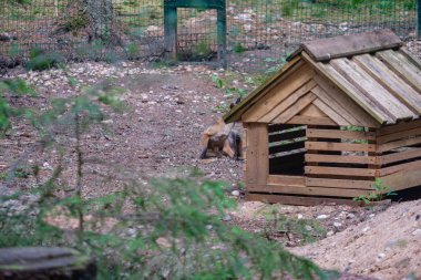 eski ahşap kırsal ev mimarisi detayları ve inşaat elemanları
