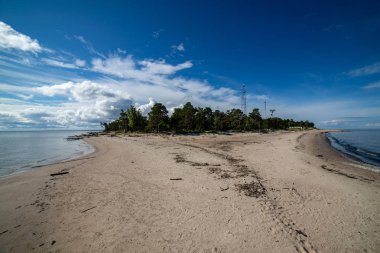 boş deniz plaj kum tepeleri ve kuru ağaç gövdeleri kıyıya yaz aylarında yıkadım. sakin su
