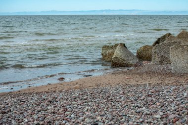 boş deniz plaj kum tepeleri ve kuru ağaç gövdeleri kıyıya yaz aylarında yıkadım. sakin su