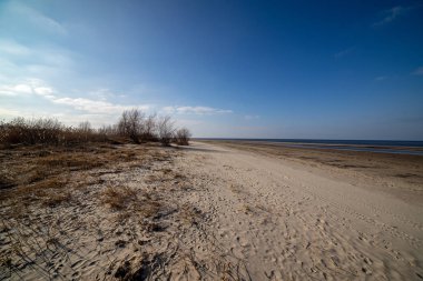boş deniz plaj kum tepeleri ve kuru ağaç gövdeleri kıyıya yaz aylarında yıkadım. sakin su