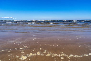 boş deniz plaj kum tepeleri ve kuru ağaç gövdeleri kıyıya yaz aylarında yıkadım. sakin su