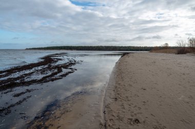 boş deniz plaj kum tepeleri ve kuru ağaç gövdeleri kıyıya yaz aylarında yıkadım. sakin su