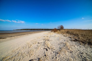 boş deniz plaj kum tepeleri ve kuru ağaç gövdeleri kıyıya yaz aylarında yıkadım. sakin su