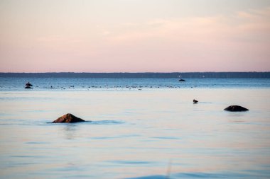 renkli günbatımı veya deniz parlak renkler ve dramatik bulutlar ve balıkçı tekneleri ile gündoğumu