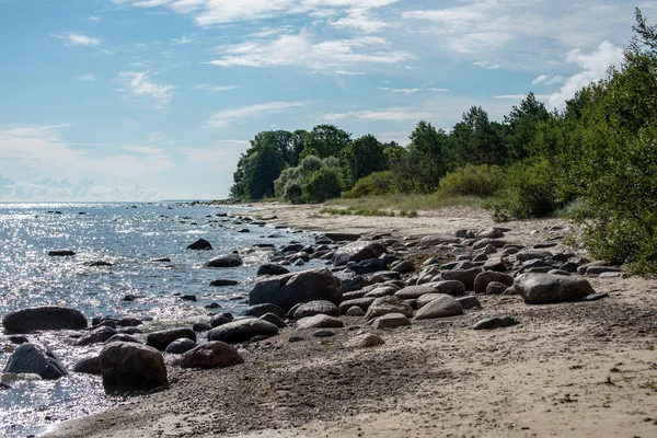 Tom Strand Med Sanddyner Och Torr Trädstammar Tvättas Till Stranden — Stockfoto