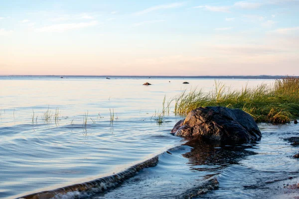 Lege Strand Met Zandduinen Droge Boomstammen Gewassen Aan Kust Zomer — Stockfoto