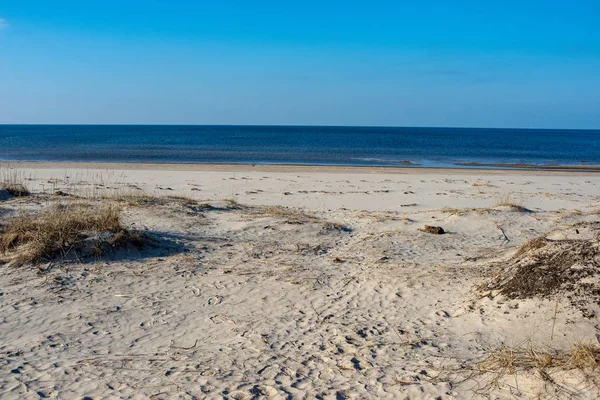 Plage Mer Vide Avec Dunes Sable Troncs Arbres Secs Lavés — Photo