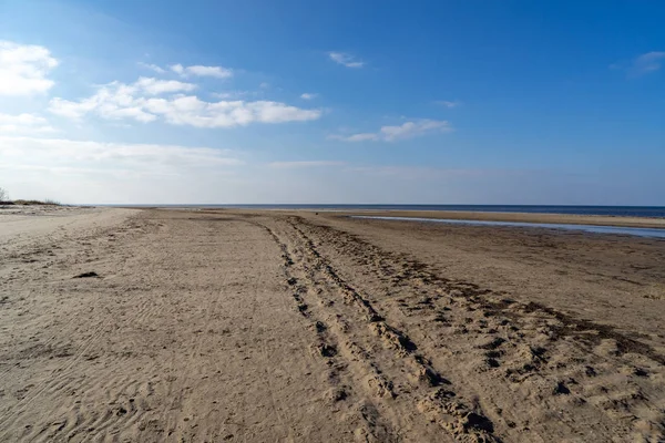 Praia Mar Vazia Com Dunas Areia Troncos Árvores Secas Lavados — Fotografia de Stock