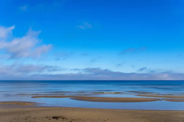 Playa Mar Vacía Con Dunas Arena Troncos Árboles Secos Lavados —  Fotos de Stock