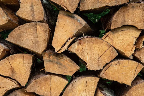 Viejo Árbol Seco Tronco Pisar Textura Con Corteza Naturaleza — Foto de Stock