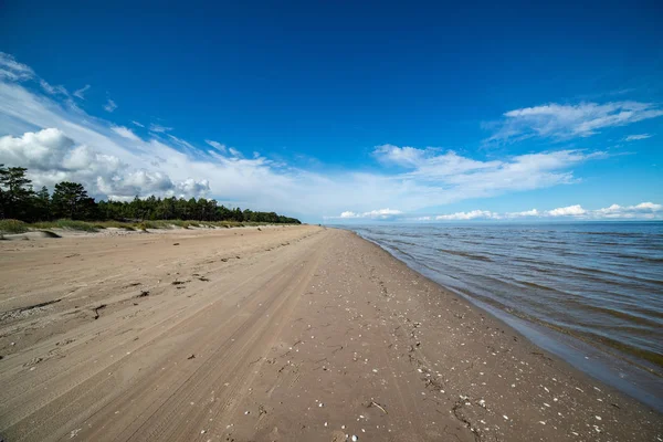 Plage Mer Vide Avec Dunes Sable Troncs Arbres Secs Lavés — Photo