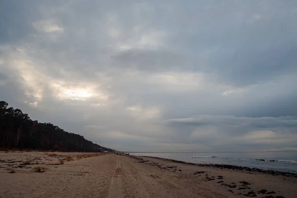 Tom Strand Med Sanddyner Och Torr Trädstammar Tvättas Till Stranden — Stockfoto