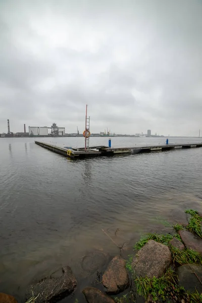 boş deniz plaj kum tepeleri ve kuru ağaç gövdeleri kıyıya yaz aylarında yıkadım. sakin su