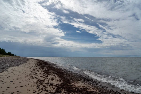 砂丘や乾燥木の幹と空の海ビーチは夏で岸に洗いました 穏やかな水 — ストック写真