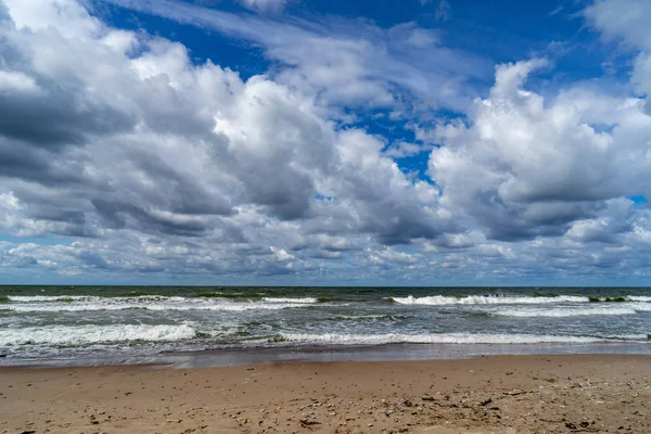 boş deniz plaj kum tepeleri ve kuru ağaç gövdeleri kıyıya yaz aylarında yıkadım. sakin su