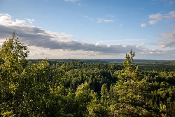 Buskar Och Träd Höstens Mist Grön Äng Landsbygden — Stockfoto