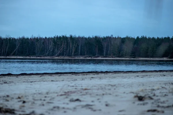 Tom Strand Med Sanddyner Och Torr Trädstammar Tvättas Till Stranden — Stockfoto