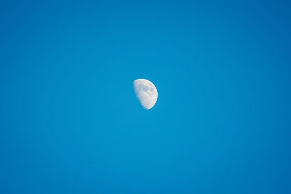 Heller Mond Blauen Himmel Durch Äste — Stockfoto