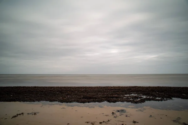 Leerer Meeresstrand Mit Sanddünen Und Trockenen Baumstämmen Die Sommer Ans — Stockfoto