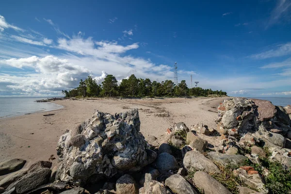 stock image empty sea beach with sand dunes and dry tree trunks washed to the shore in summer. calm water