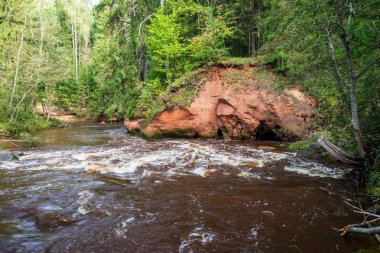 güzel kumtaşı kayalıklarla ve woods Amata Letonya sakin Nehri'nin kıyısında