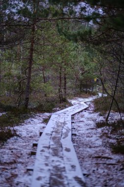 kar kış orman kaplı ahşap yolu