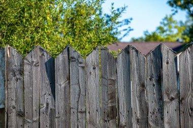 paslı dikenli tel yaz yeşil yeşillik ile eski ahşap çit üzerine