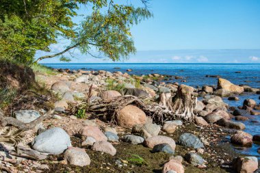 Letonya kırsalında Beach'te kapsayan büyük sert kayalar