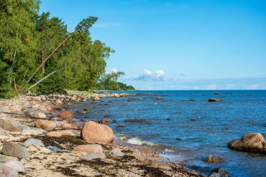 Letonya kırsalında Beach'te kapsayan büyük sert kayalar