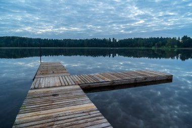 Ahşap tahta boardwalk perspektif sonbaharda bataklık bölgede
