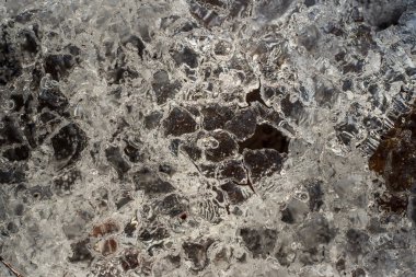 dondurulmuş doğa ayrıntılar. ağaç dalları ve çim kar ve buz