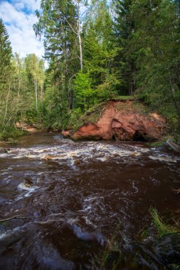 güzel kumtaşı kayalıklarla ve woods Amata Letonya sakin Nehri'nin kıyısında