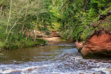 güzel kumtaşı kayalıklarla ve woods Amata Letonya sakin Nehri'nin kıyısında