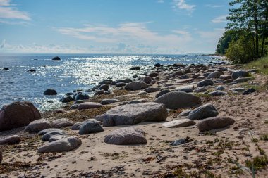güneşli çakıl deniz plaj kırsal Letonya