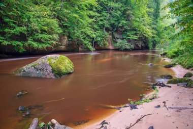 hızlı Amata nehirde yeşil orman. Amata Letonya