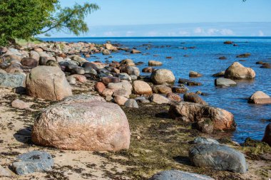 Letonya kırsalında Beach'te kapsayan büyük sert kayalar