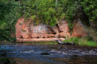 güzel kumtaşı kayalıklarla ve woods Amata Letonya sakin Nehri'nin kıyısında