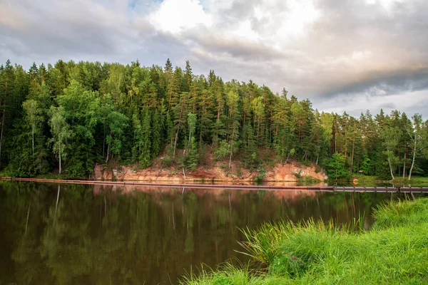 Piaskowiec Piękne Klify Lesie Nad Brzegiem Spokojnej Rzeki Amata Łotwa — Zdjęcie stockowe
