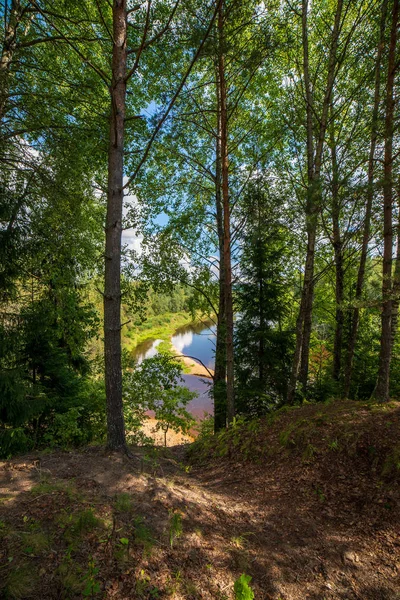 Trilha Caminhadas Turísticas Verde Floresta Verão Com Folhagem Verde — Fotografia de Stock