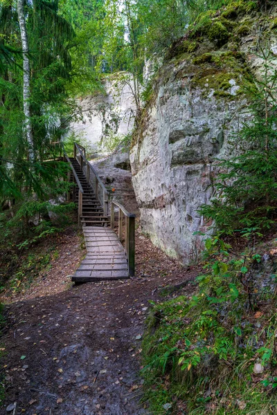 観光ハイキング岩の崖と緑夏の森のトレイル コース — ストック写真
