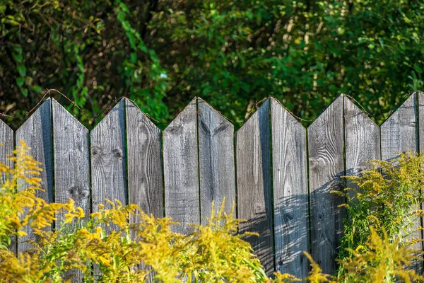 夏季には緑の葉の古い木製フェンスの上に錆びた有刺鉄線 — ストック写真