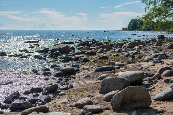 Soliga Havet Klapperstensstrand Landsbygden Lettland — Stockfoto