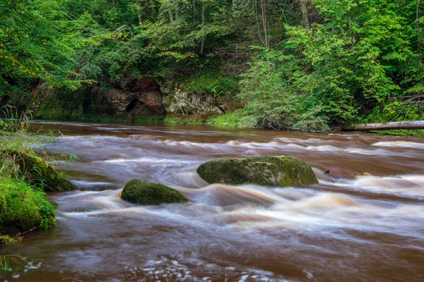 Rychlý Amata Řeka Zeleném Lese Amata Lotyšsku — Stock fotografie