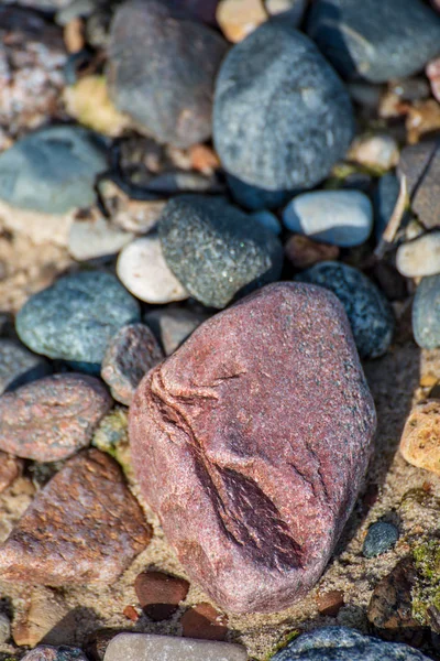 Pozadí Barevné Moře Oblázky Pláži — Stock fotografie