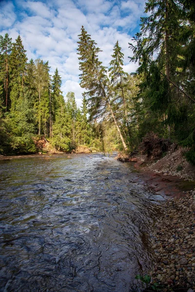 River Water in Forest, Rocky River Side Stock Photo - Image of grass,  scenery: 165302448